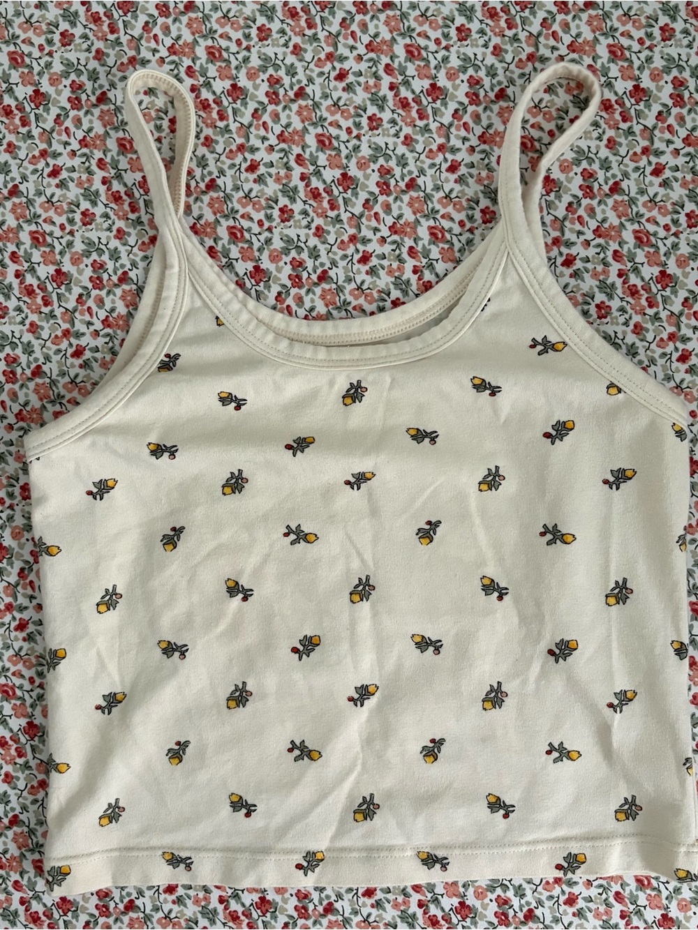 ARQ Calico - Picture 2 of 3